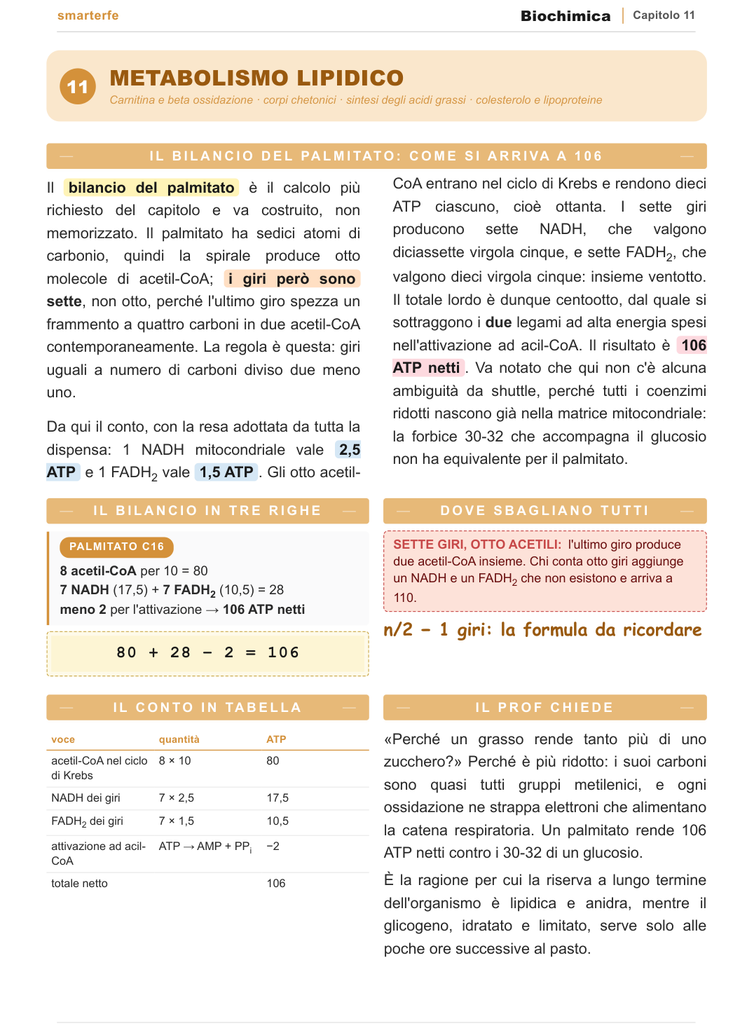 Com'è fatta una pagina delle Dispense