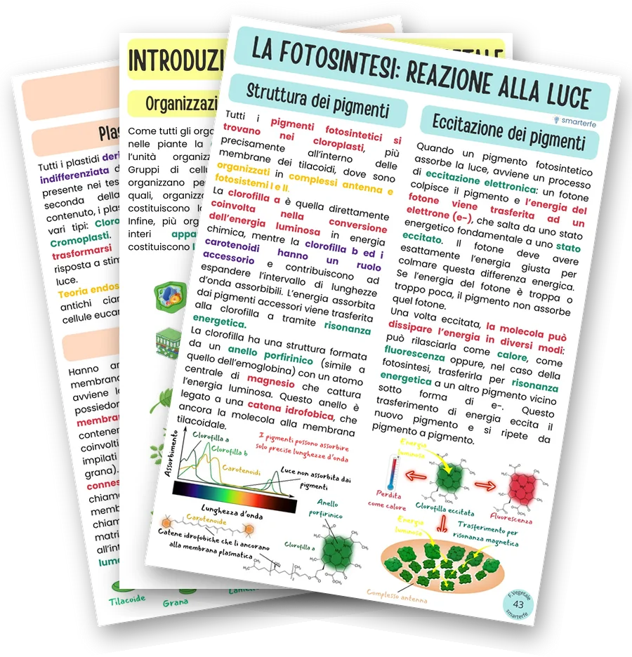 Dispense di Fisiologia Vegetale, edizione Base
