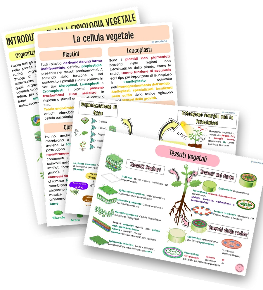 Dispense di Fisiologia Vegetale con il Fascicolo PRO