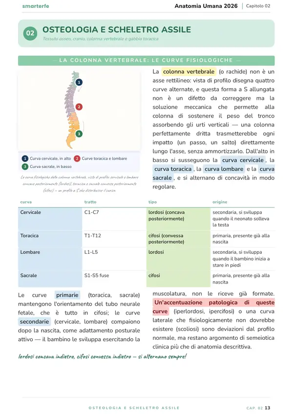 Pagina del Manuale di Anatomia