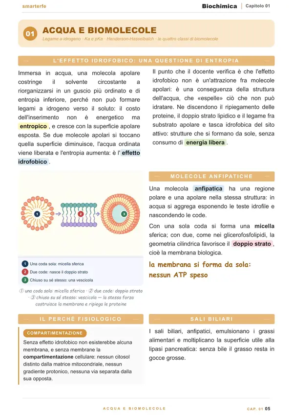 Pagina del Manuale di Biochimica