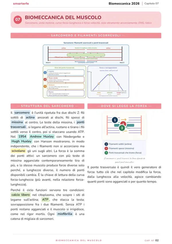 Pagina del Manuale di Biomeccanica