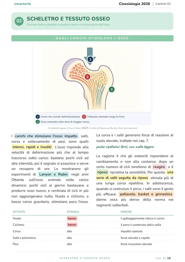 Pagina del Manuale di Cinesiologia