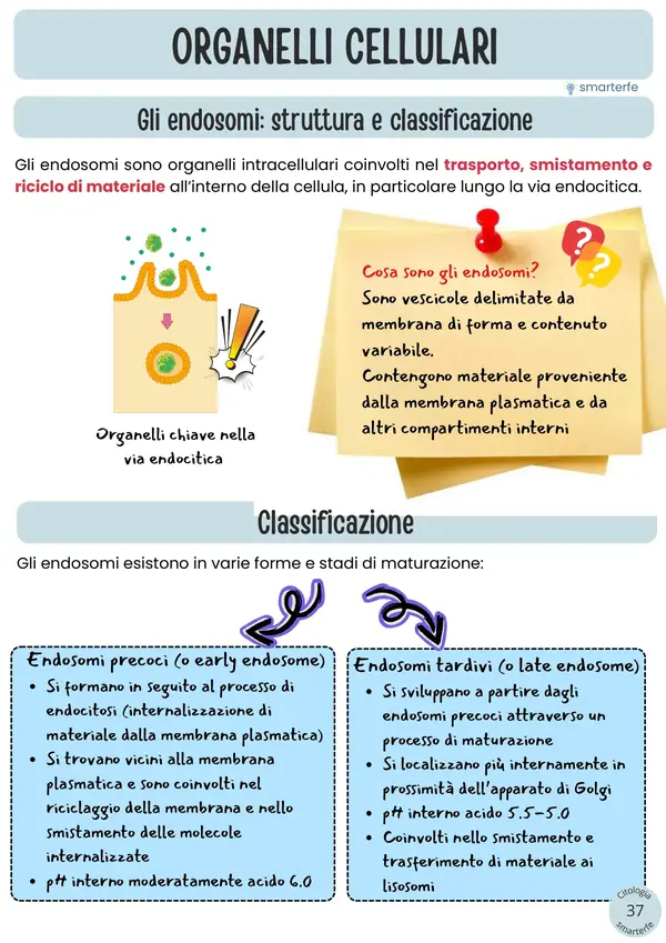 Pagina del Manuale di Citologia e Istologia