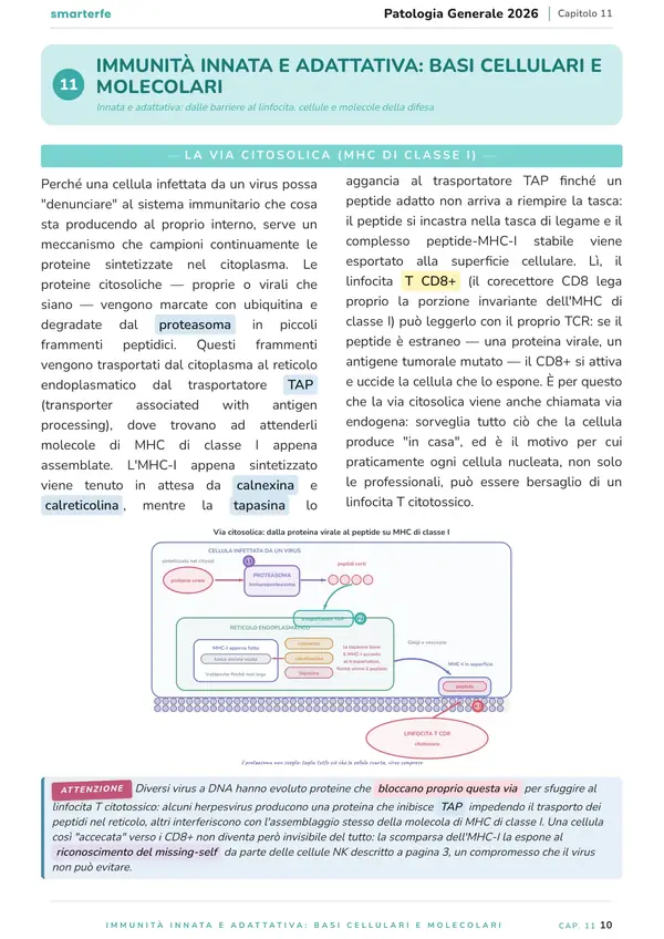 Pagina del Manuale di Patologia Generale