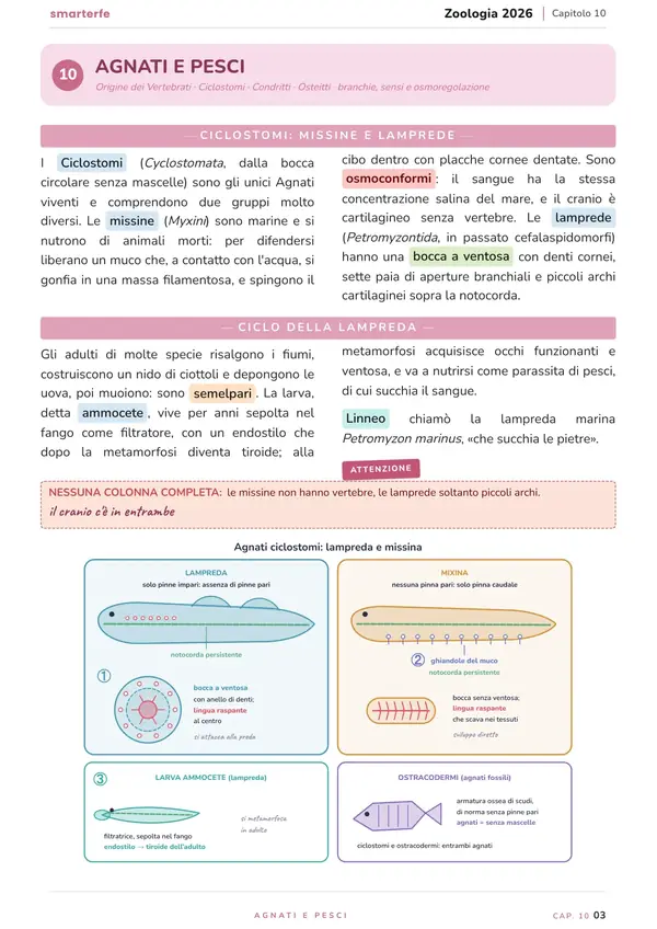 Pagina del Manuale di Zoologia