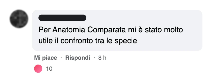 Messaggio di uno studente dopo l'esame