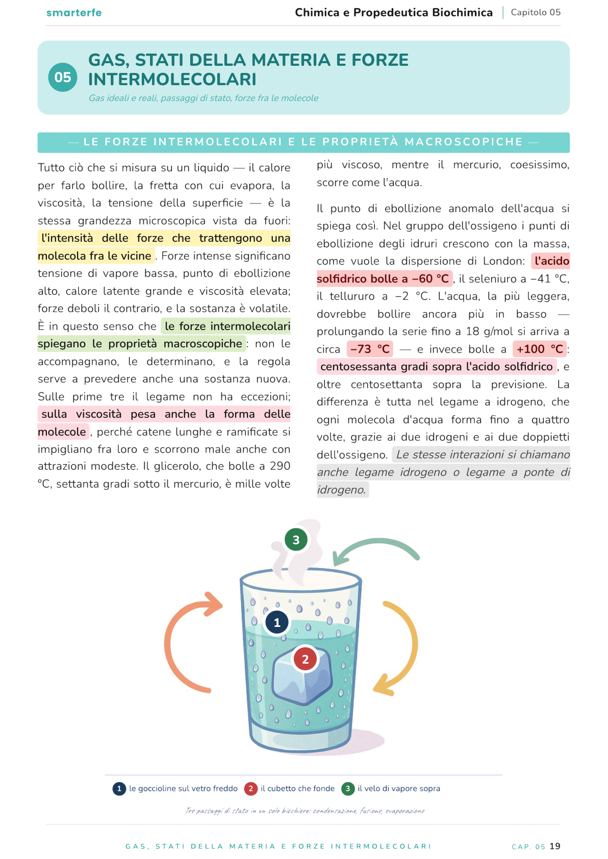 Illustrazione dal Manuale di Chimica e Propedeutica Biochimica: gas, stati della materia e forze intermolecolari