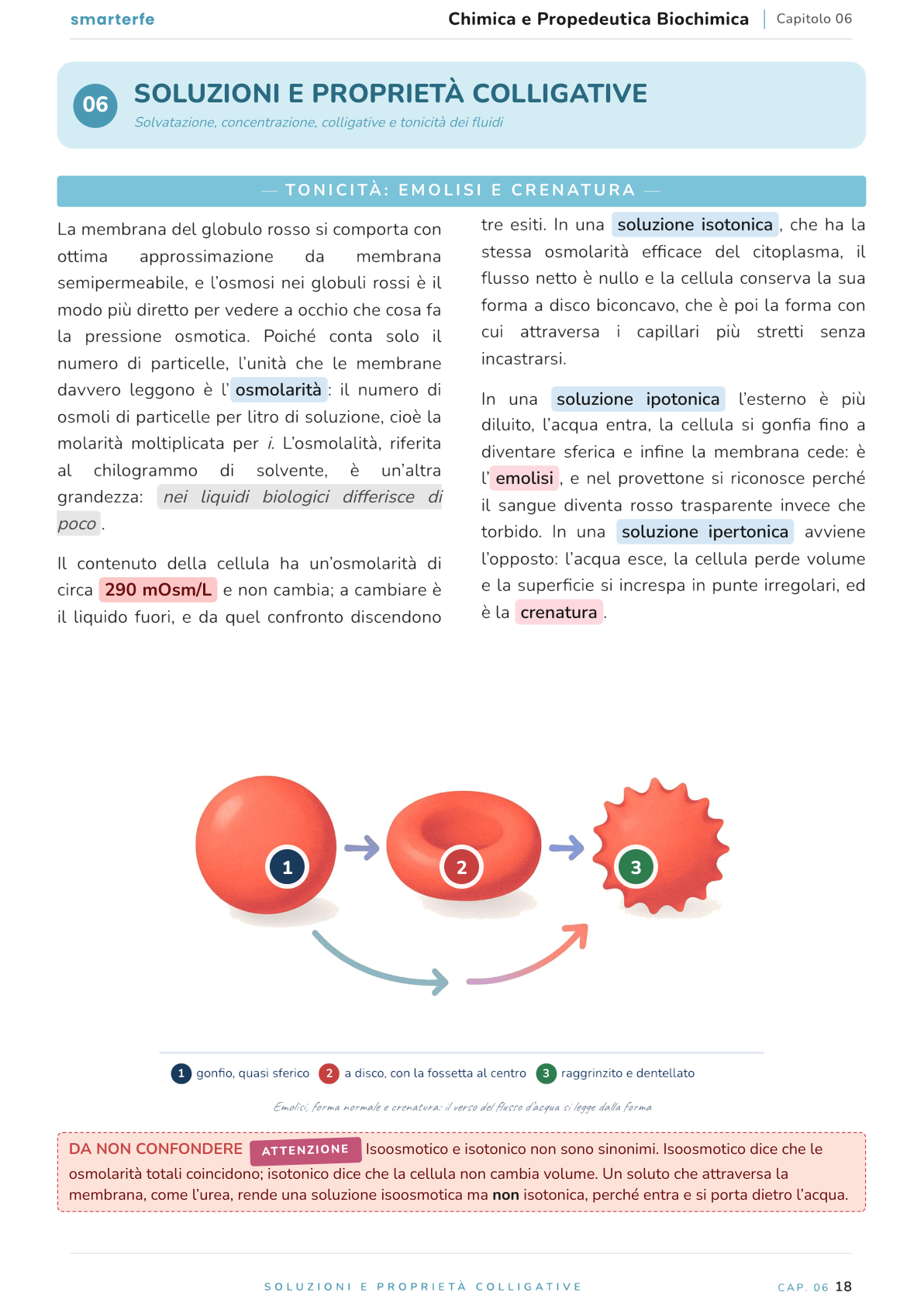 Illustrazione dal Manuale di Chimica e Propedeutica Biochimica: tonicità: emolisi e crenatura