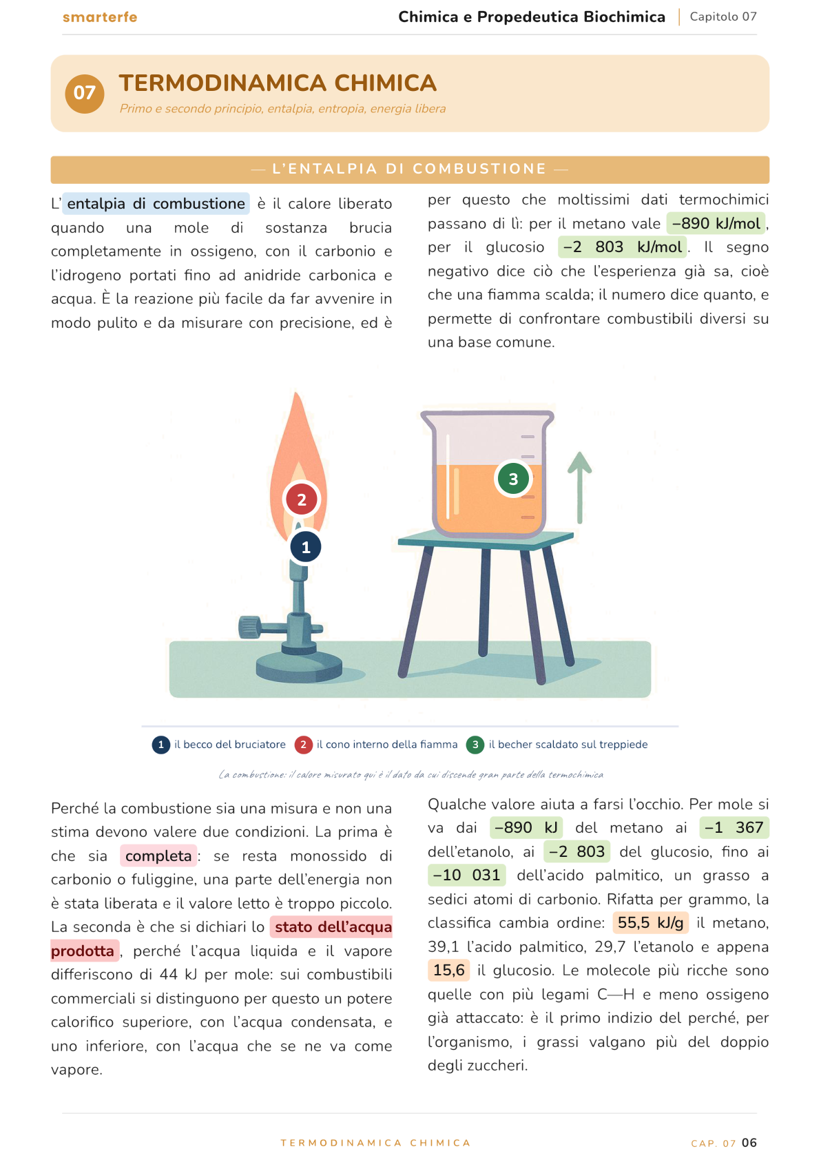 Illustrazione dal Manuale di Chimica e Propedeutica Biochimica: l'entalpia di combustione