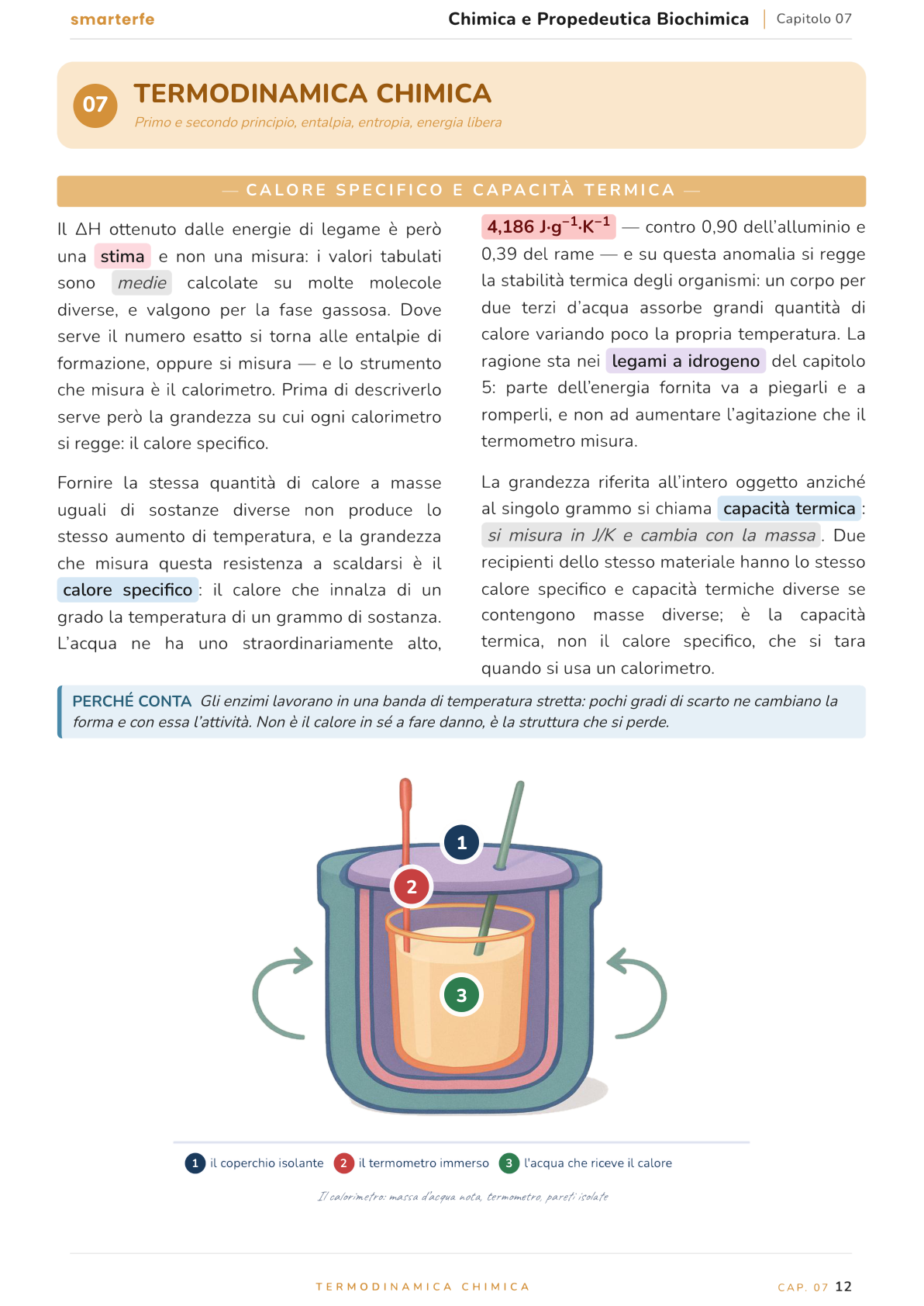 Illustrazione dal Manuale di Chimica e Propedeutica Biochimica: calore specifico e capacità termica