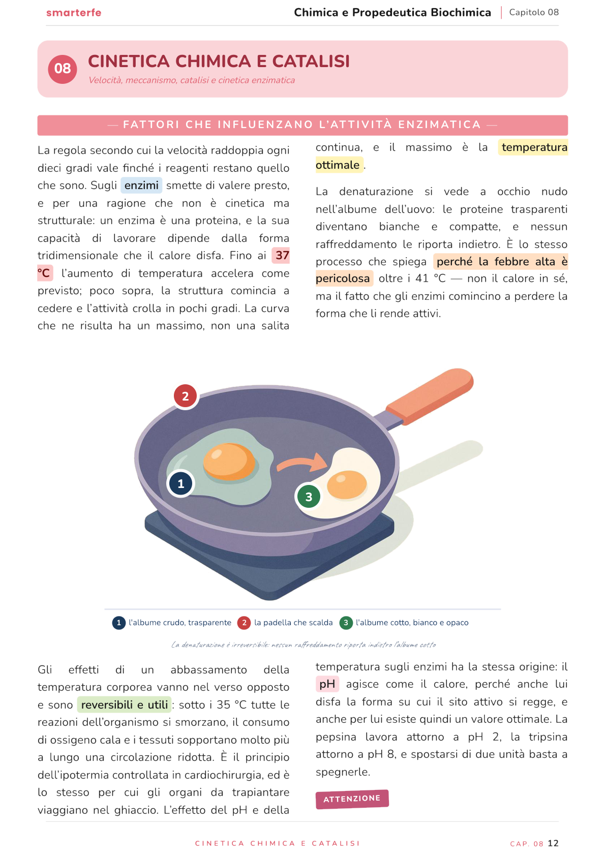 Illustrazione dal Manuale di Chimica e Propedeutica Biochimica: fattori che influenzano l'attività enzimatica