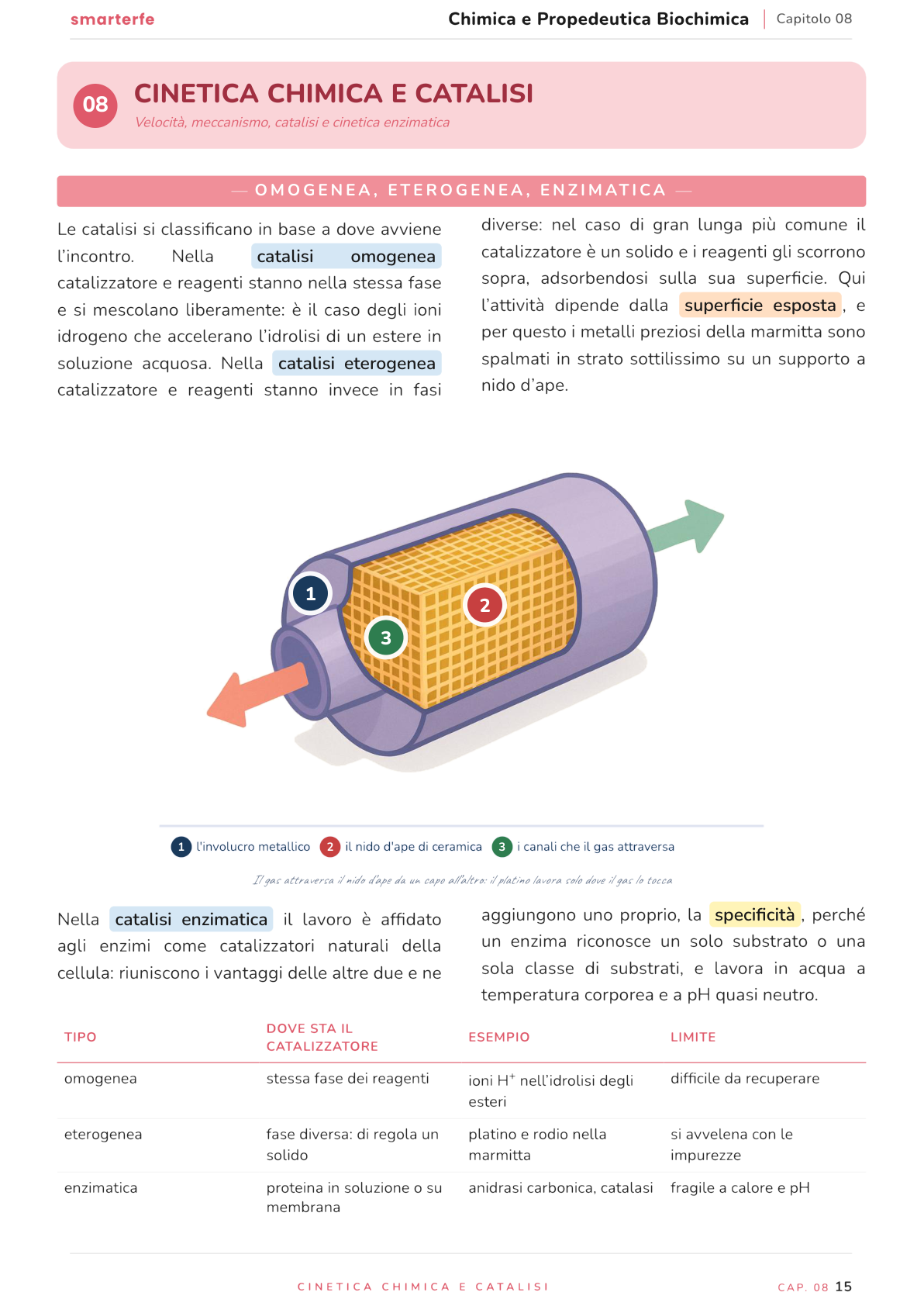 Illustrazione dal Manuale di Chimica e Propedeutica Biochimica: omogenea, eterogenea, enzimatica
