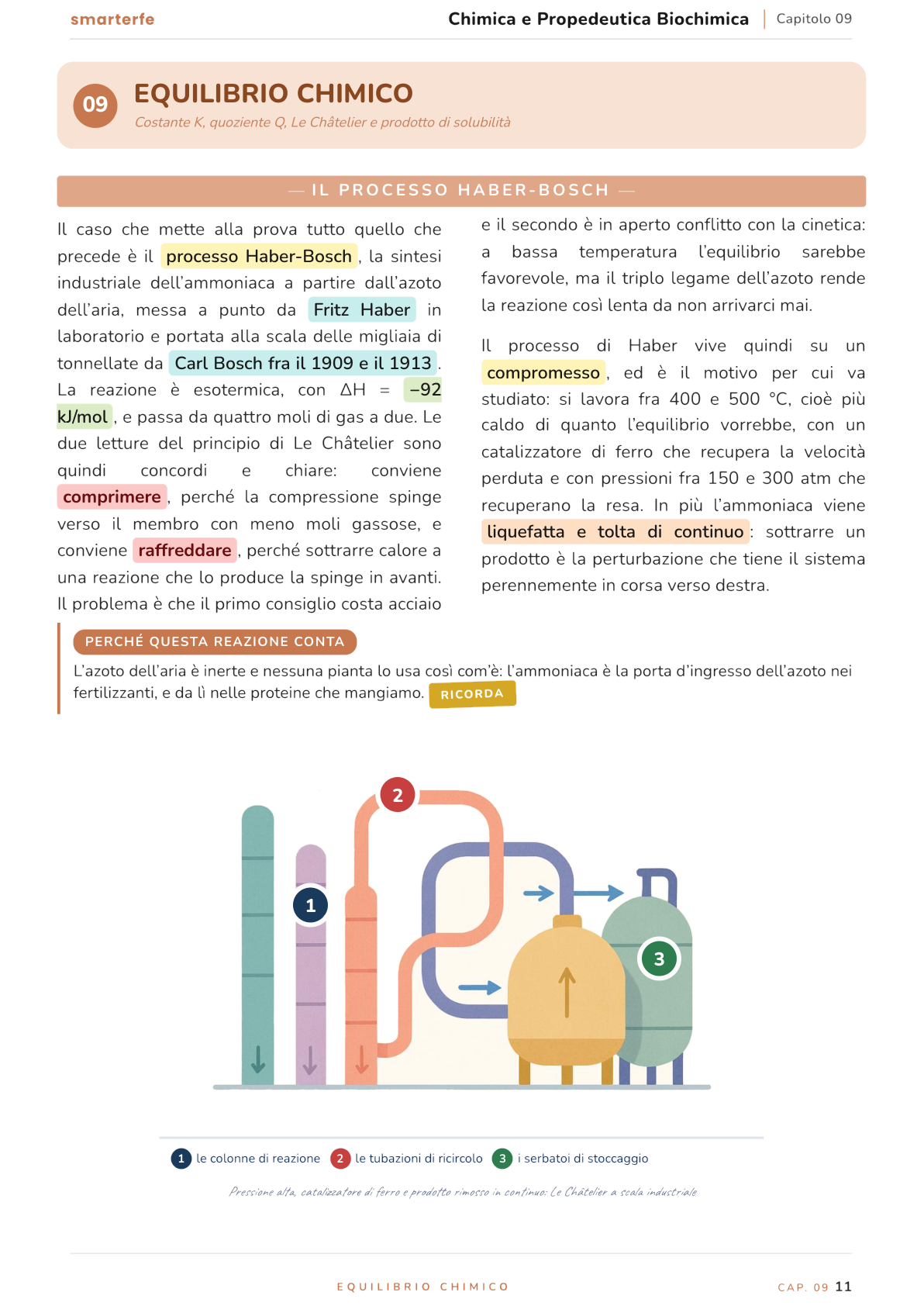 Illustrazione dal Manuale di Chimica e Propedeutica Biochimica: il processo Haber-Bosch