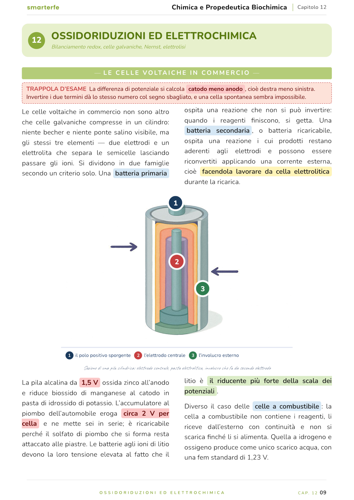 Illustrazione dal Manuale di Chimica e Propedeutica Biochimica: le celle voltaiche in commercio
