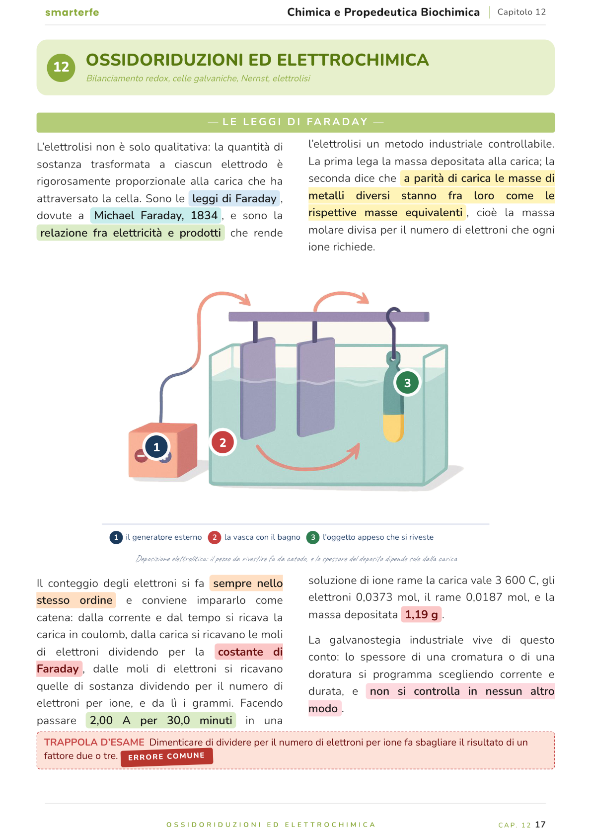 Illustrazione dal Manuale di Chimica e Propedeutica Biochimica: le leggi di Faraday
