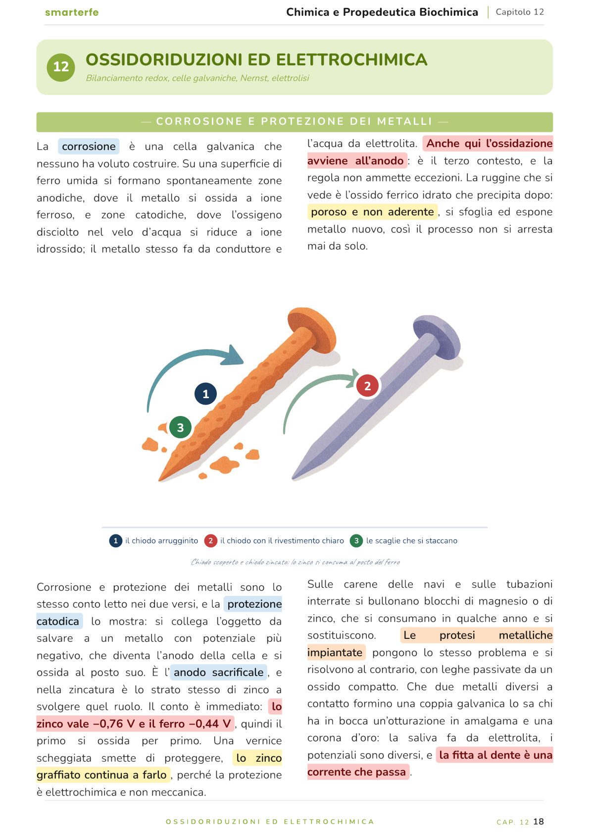 Illustrazione dal Manuale di Chimica e Propedeutica Biochimica: corrosione e protezione dei metalli