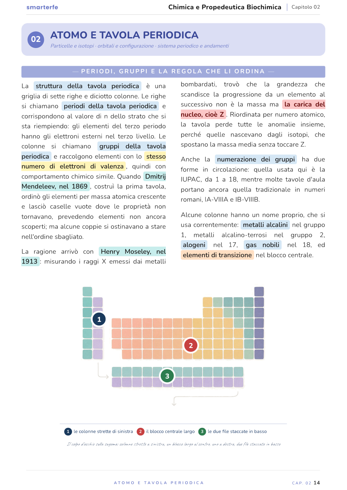 Illustrazione dal Manuale di Chimica e Propedeutica Biochimica: periodi, gruppi e la regola che li ordina