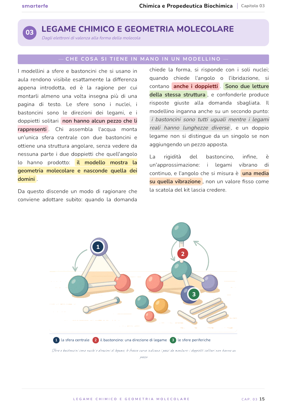 Illustrazione dal Manuale di Chimica e Propedeutica Biochimica: che cosa si tiene in mano in un modellino