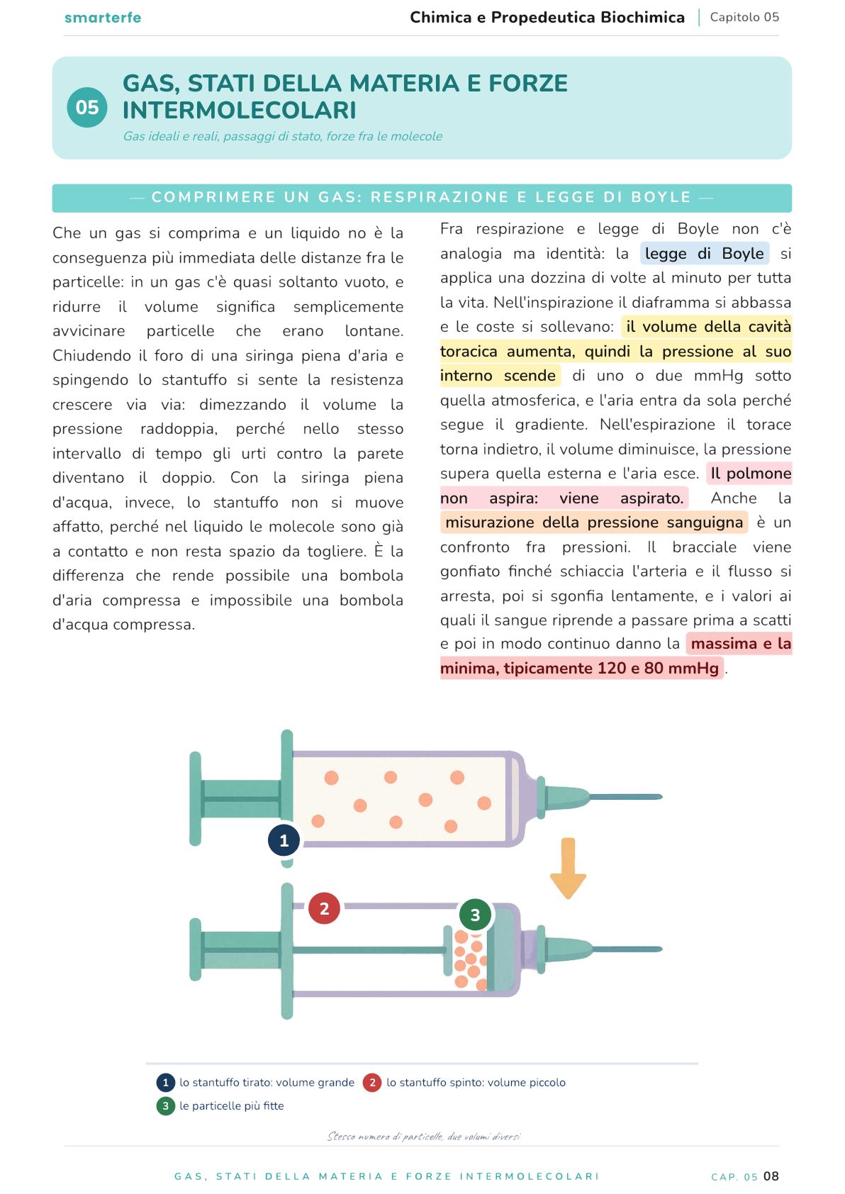 Illustrazione dal Manuale di Chimica e Propedeutica Biochimica: comprimere un gas: legge di Boyle