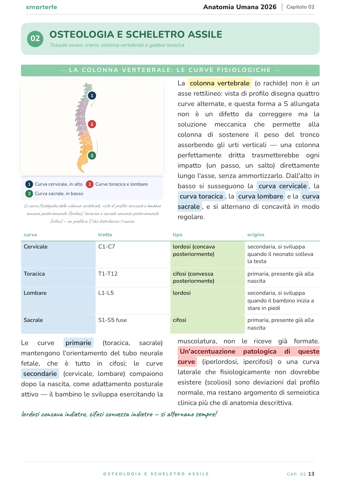 Lo stesso argomento sulle Dispense SmarterFe: schema, passaggi numerati, colori