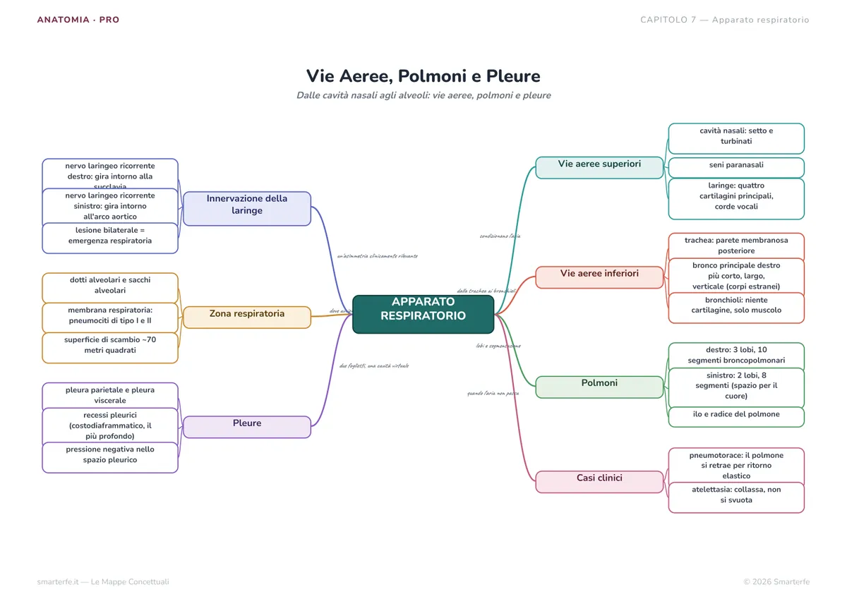 Mappe Concettuali