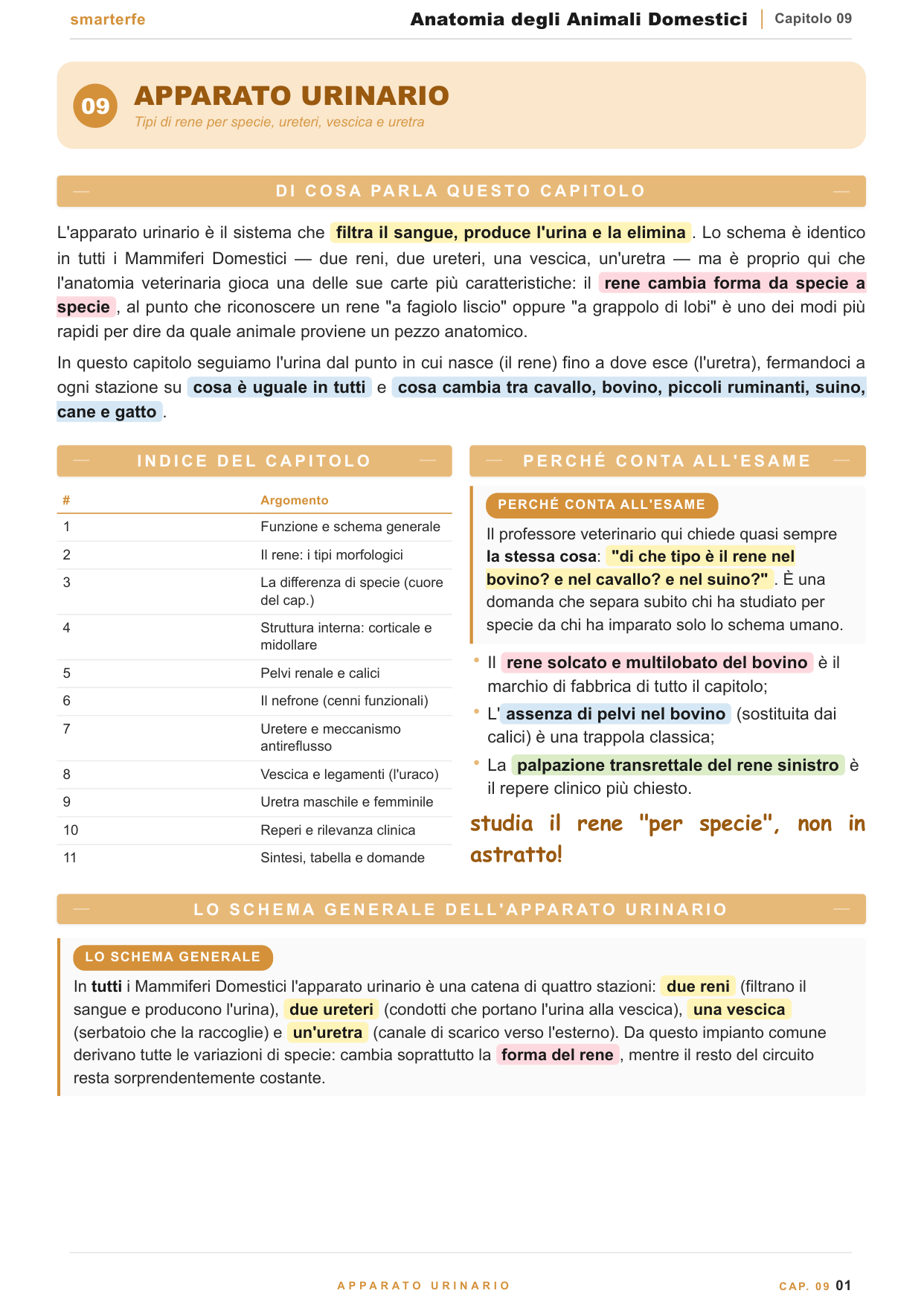 Copertina dispensa Anatomia degli Animali Domestici