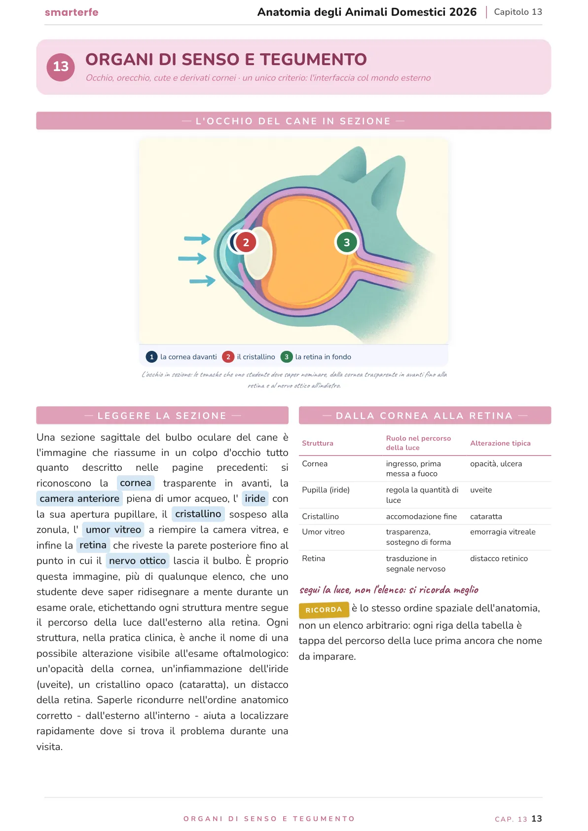 Lo stesso argomento sulle Dispense SmarterFe: schema, passaggi numerati, colori