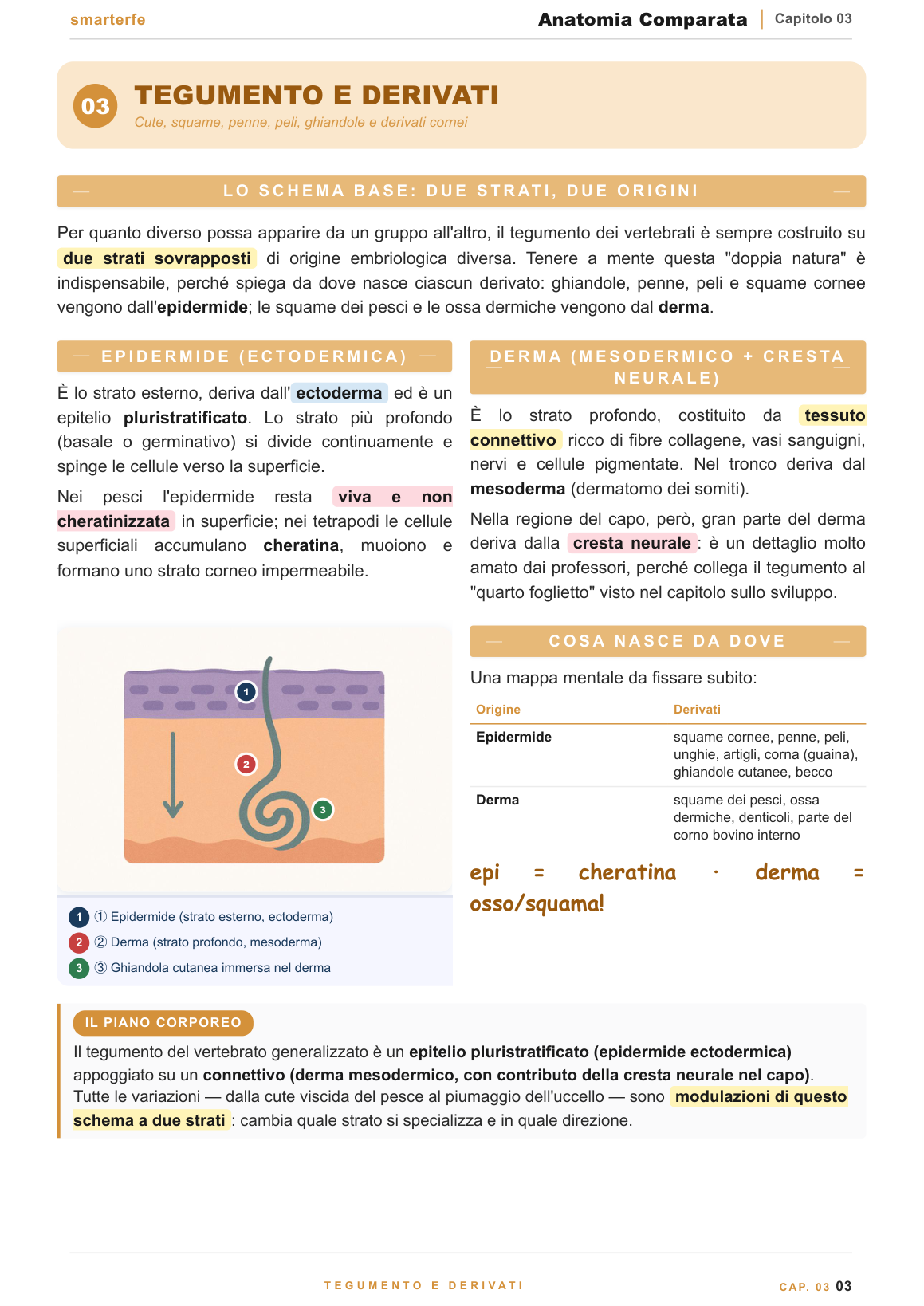 Copertina dispensa Anatomia Comparata