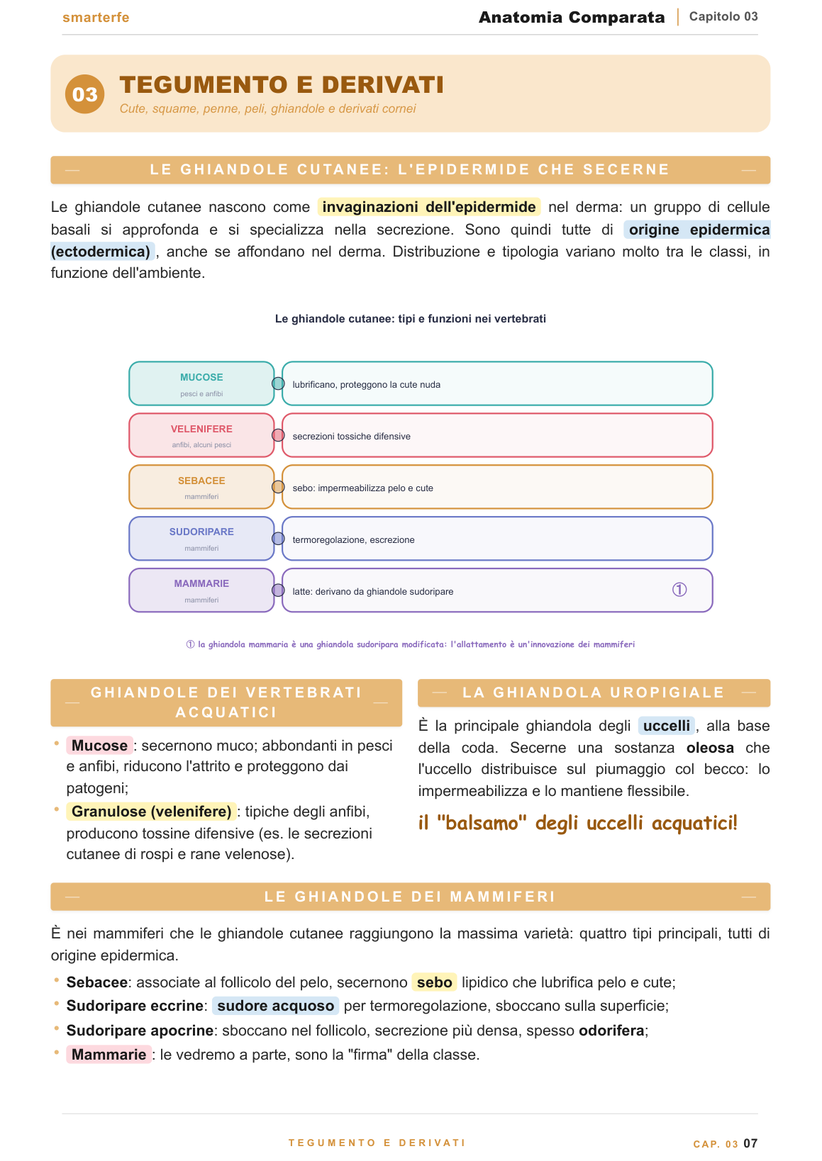 Dispense Anatomia Comparata Smarter
