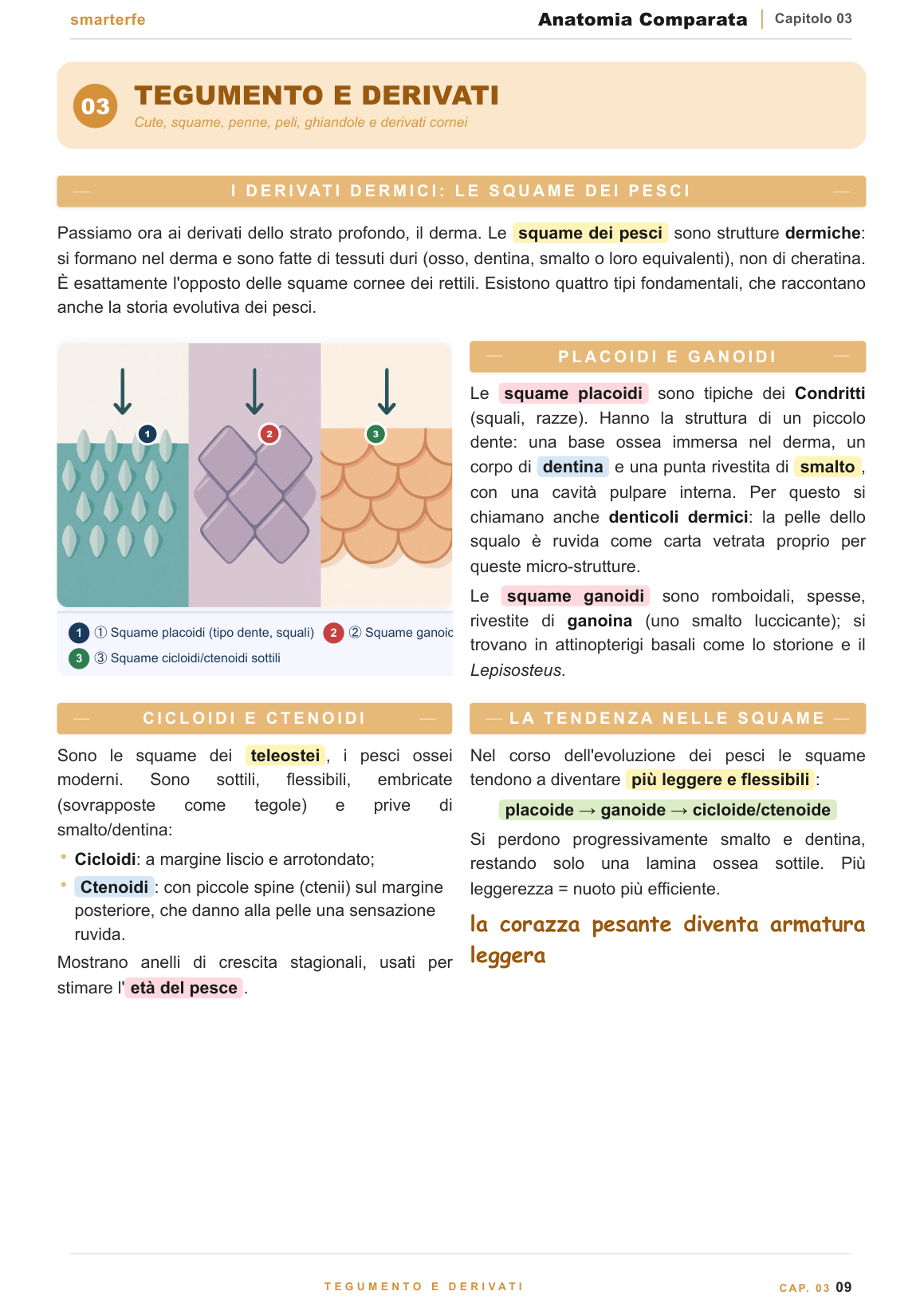 Foglietti embrionali e piani corporei dei Vertebrati