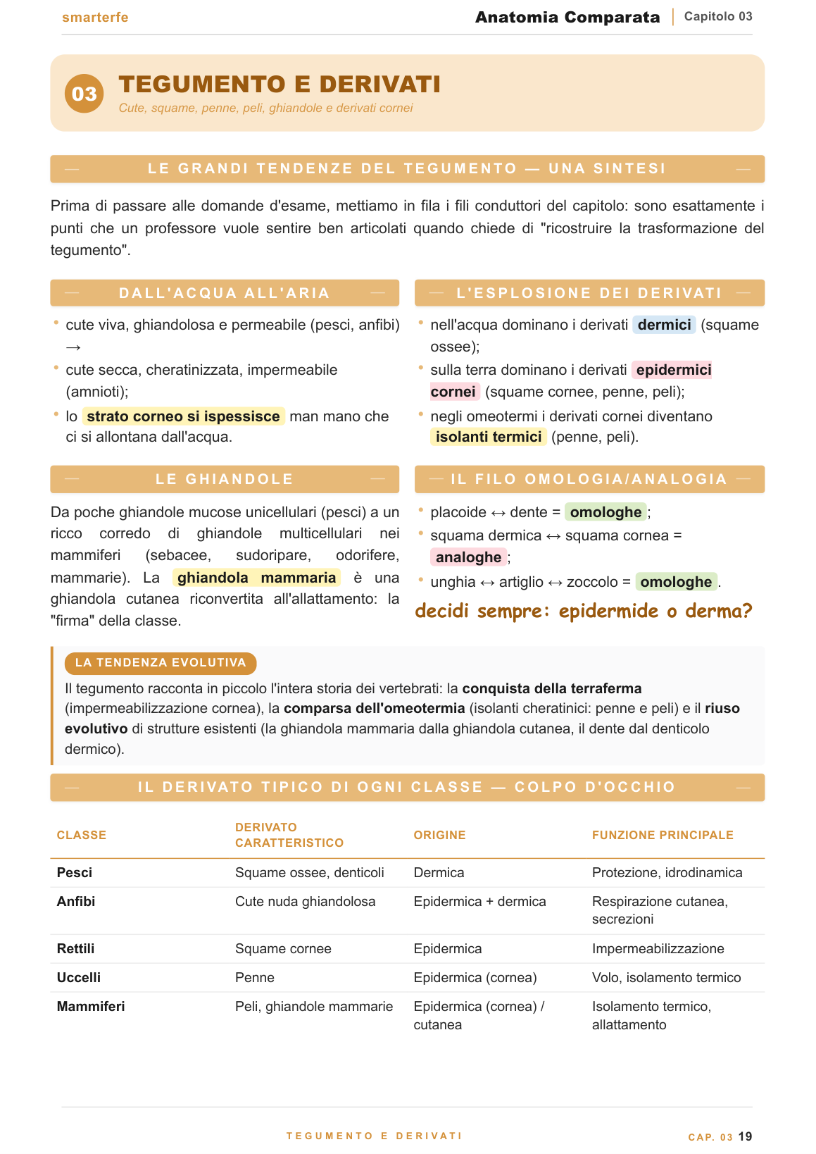 Scheletro assile e appendicolare: omologie tra i Vertebrati