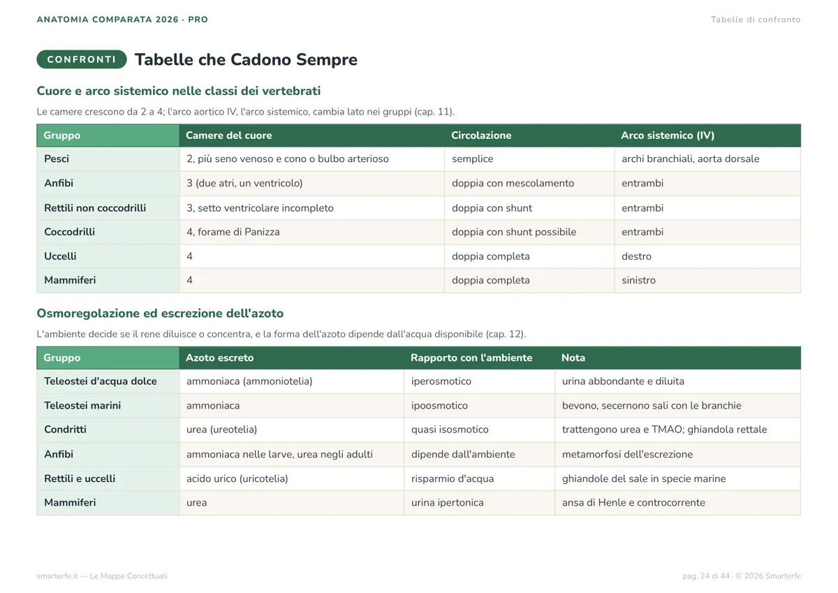 Mappe Concettuali
