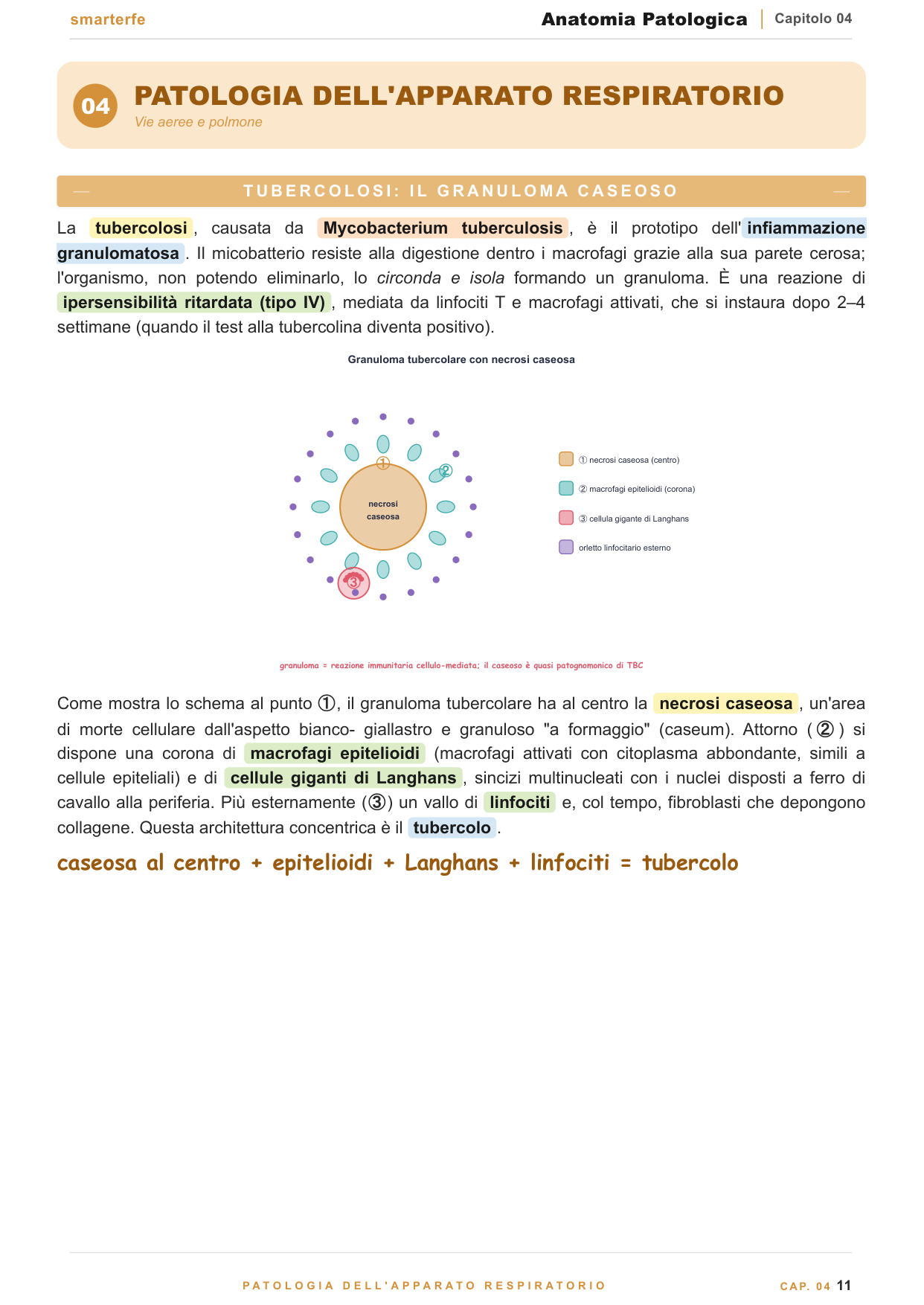 Metodi diagnostici — biopsia, citologia e immunoistochimica