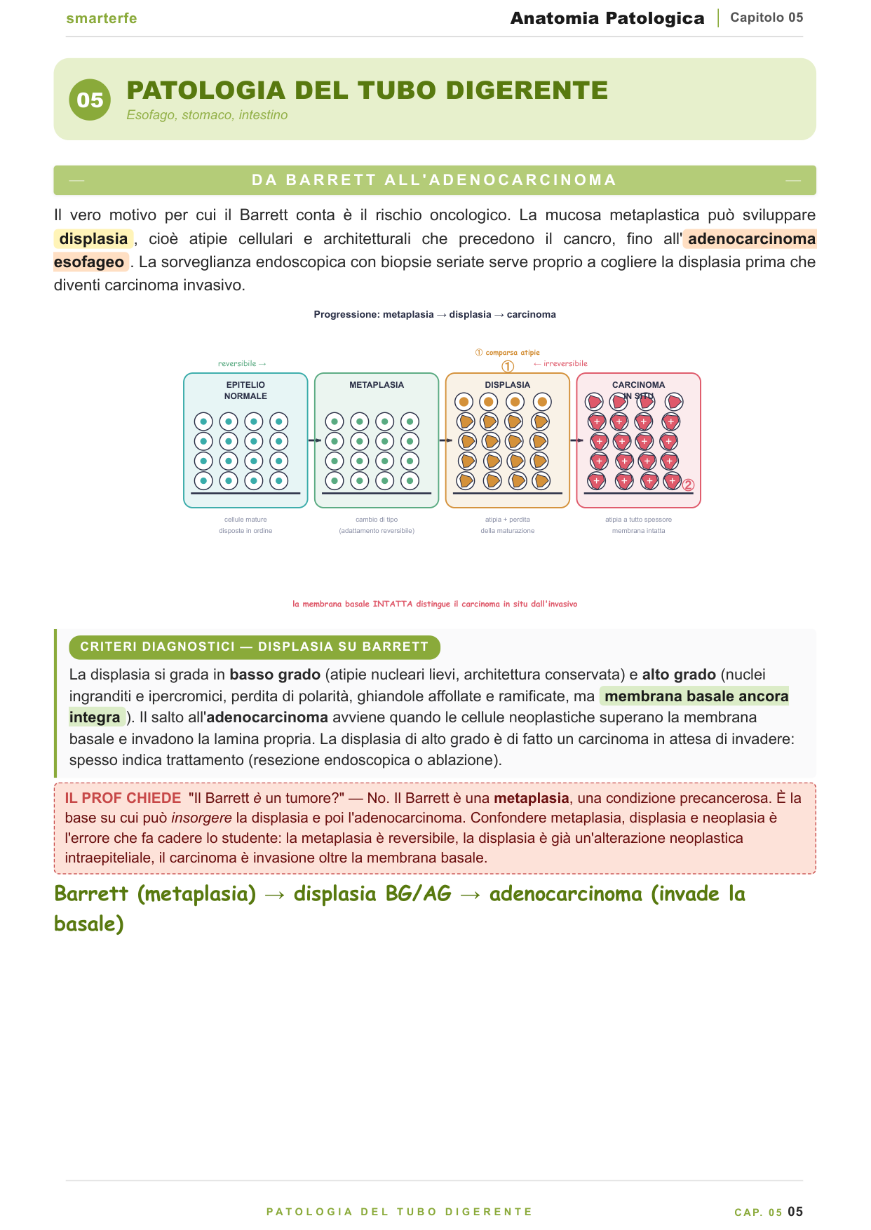 Oncologia anatomopatologica — displasia, grading e staging TNM