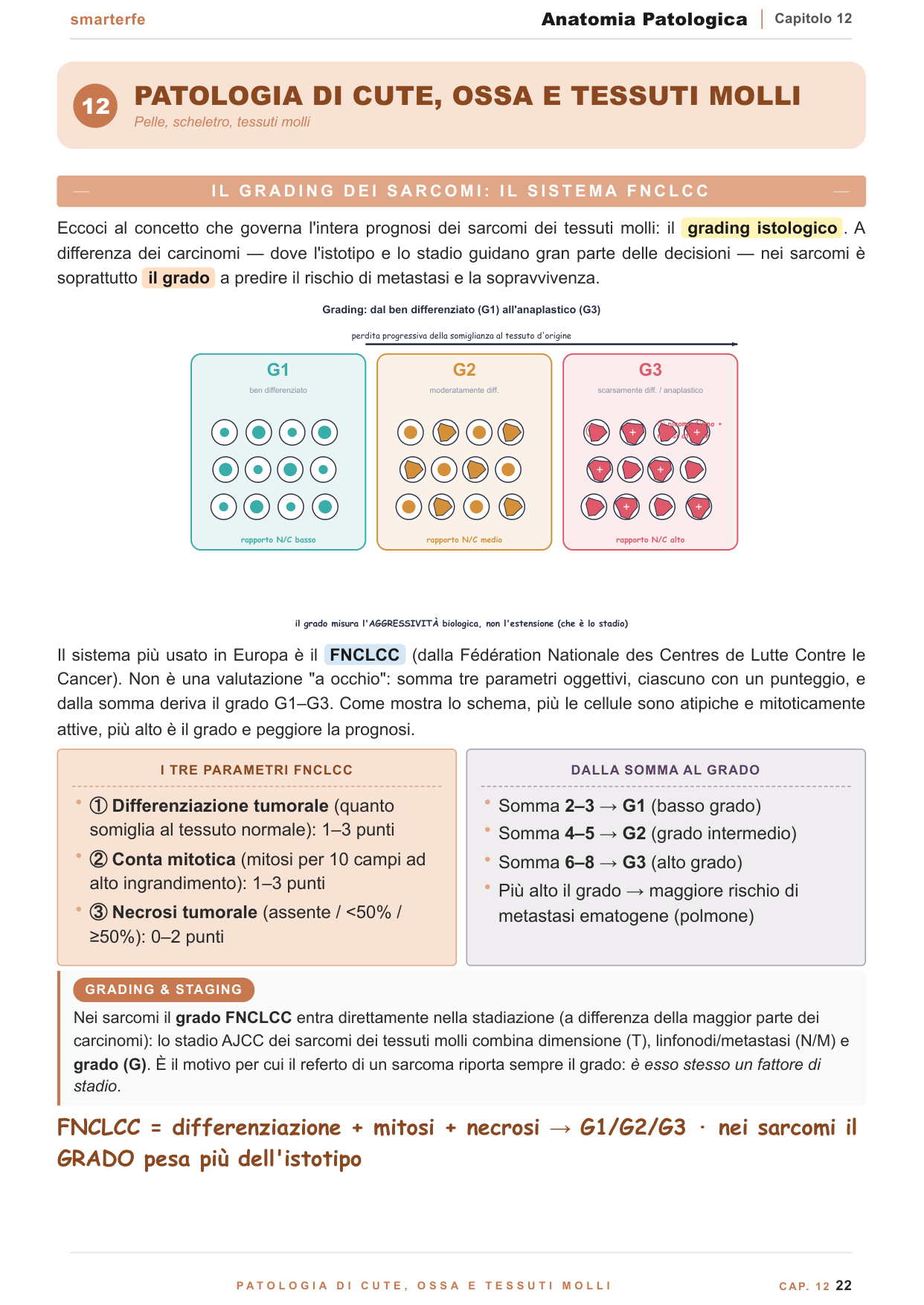 Patologia ematolinfoide — linfomi e leucemie