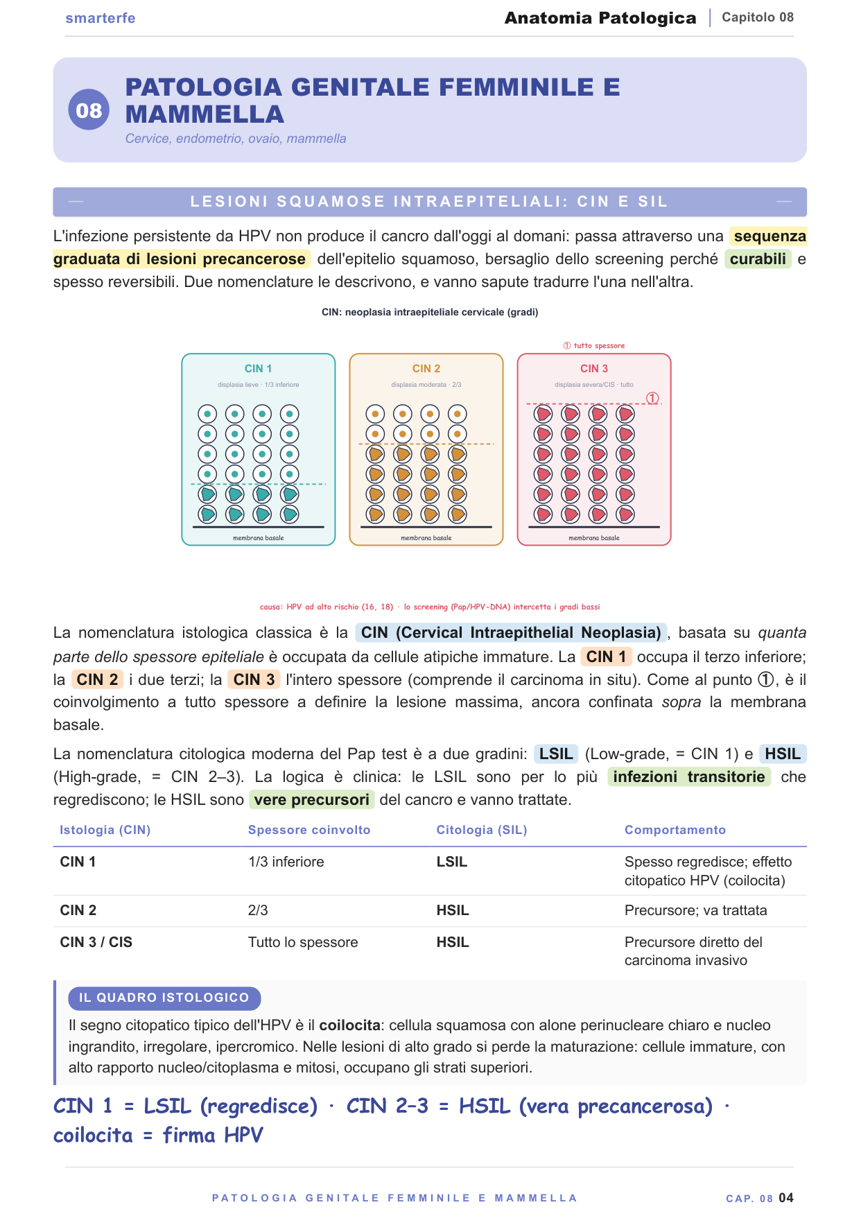 Patologia del tubo digerente — Barrett, gastrico e colon