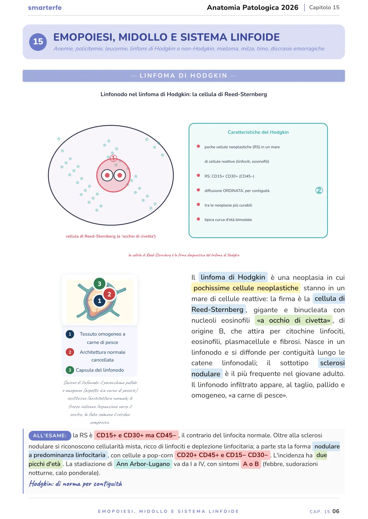 Lo stesso argomento sulle Dispense SmarterFe: schema, passaggi numerati, colori