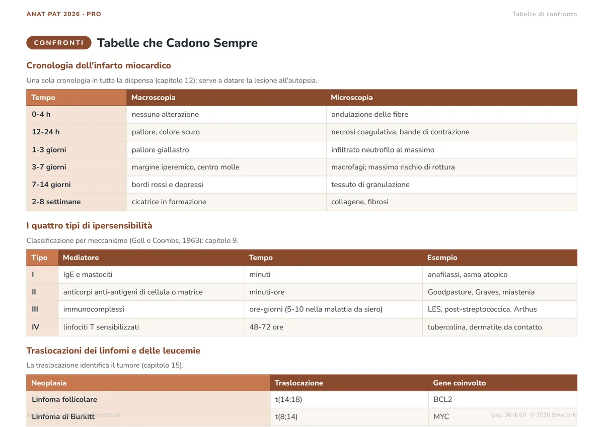 Mappe Concettuali
