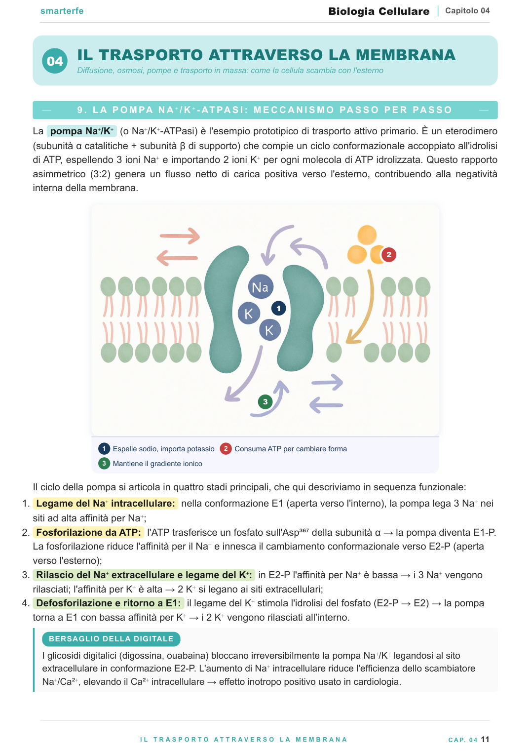 Dispense Biologia Cellulare Smarter
