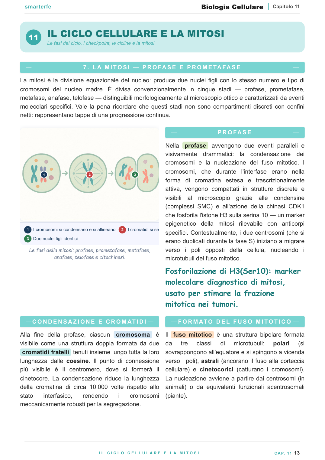 Tecniche di biologia cellulare: PCR, sequenziamento, CRISPR e genomica