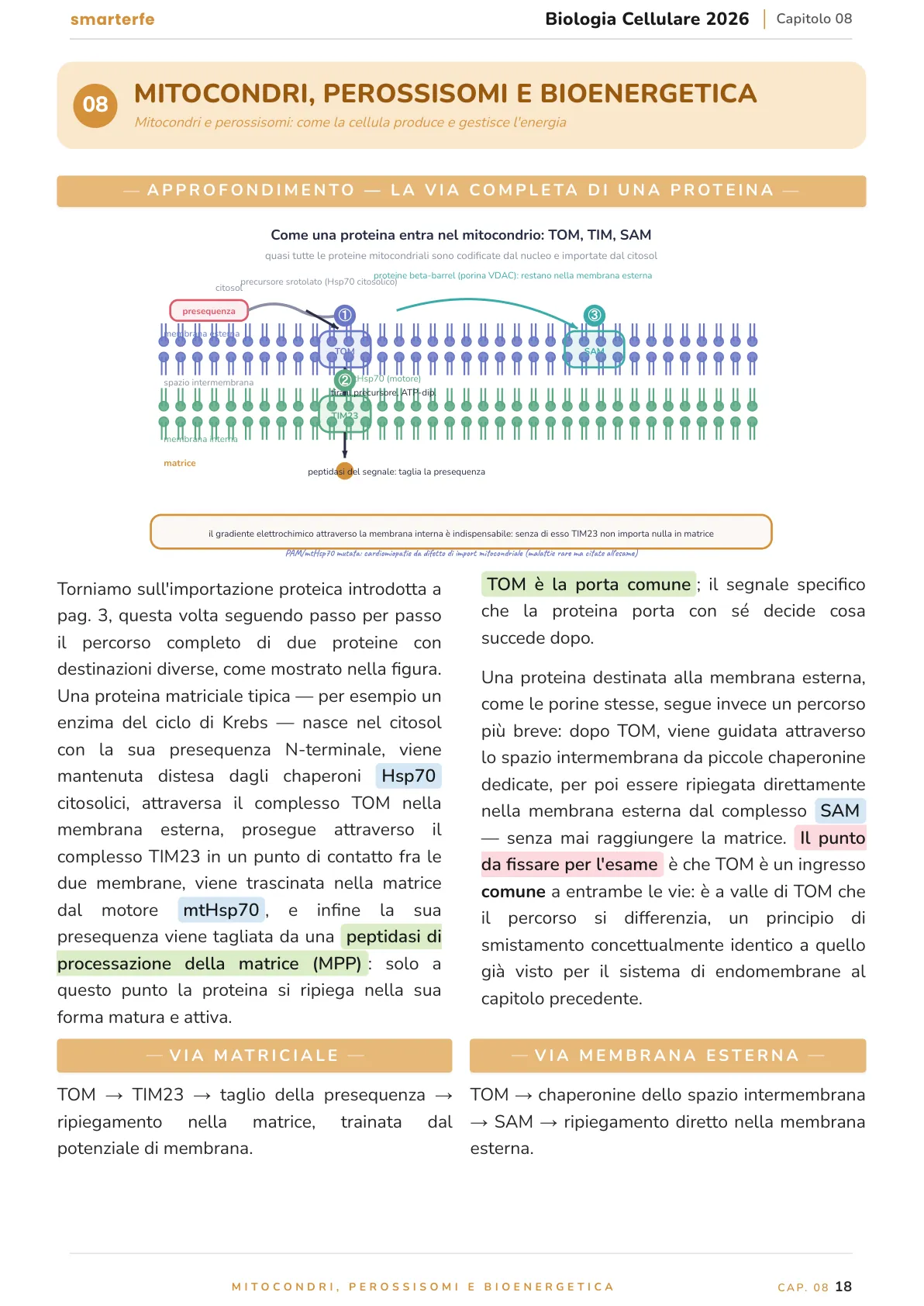 Lo stesso argomento sulle Dispense SmarterFe: schema, passaggi numerati, colori