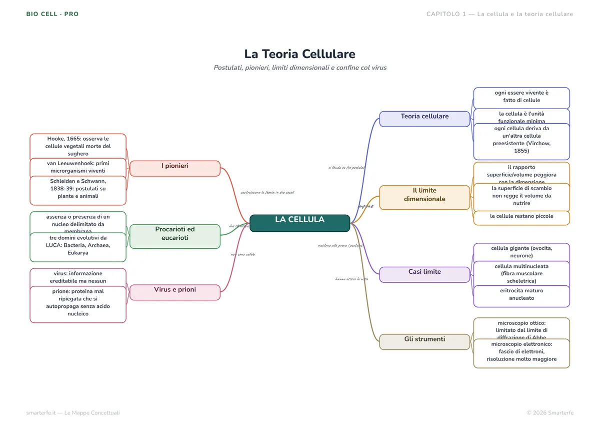 Mappe Concettuali