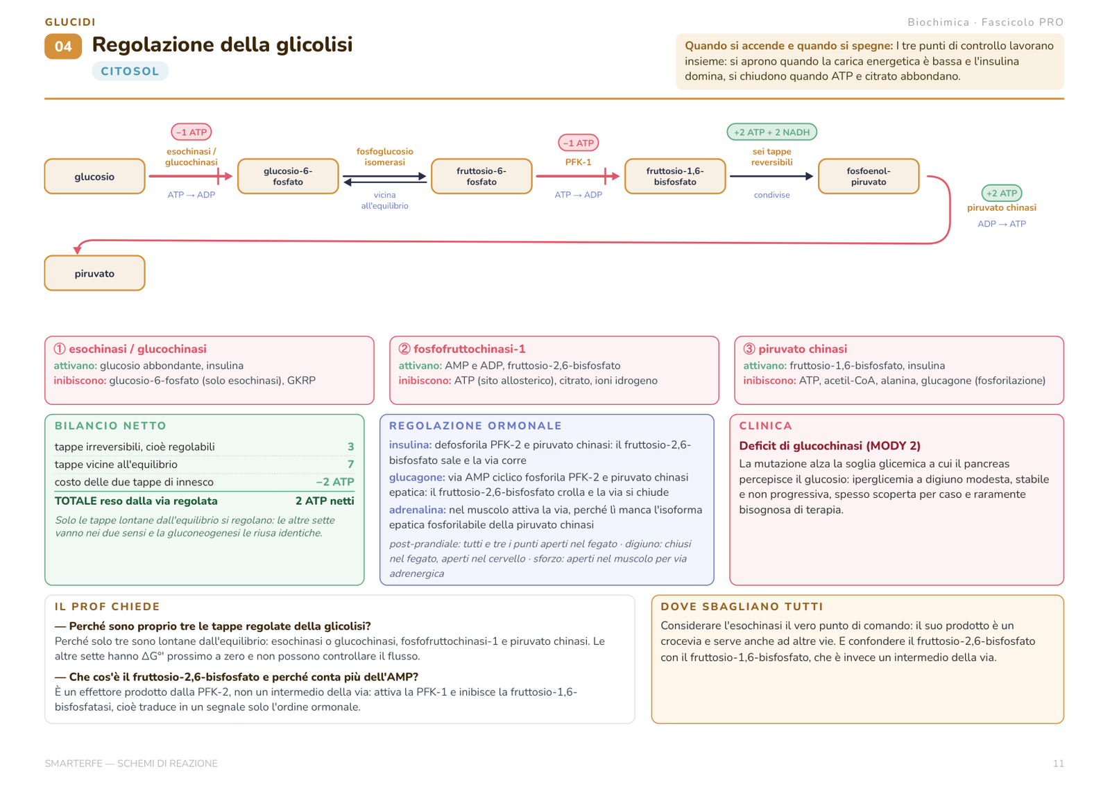 Scheda del Manuale delle Tecniche