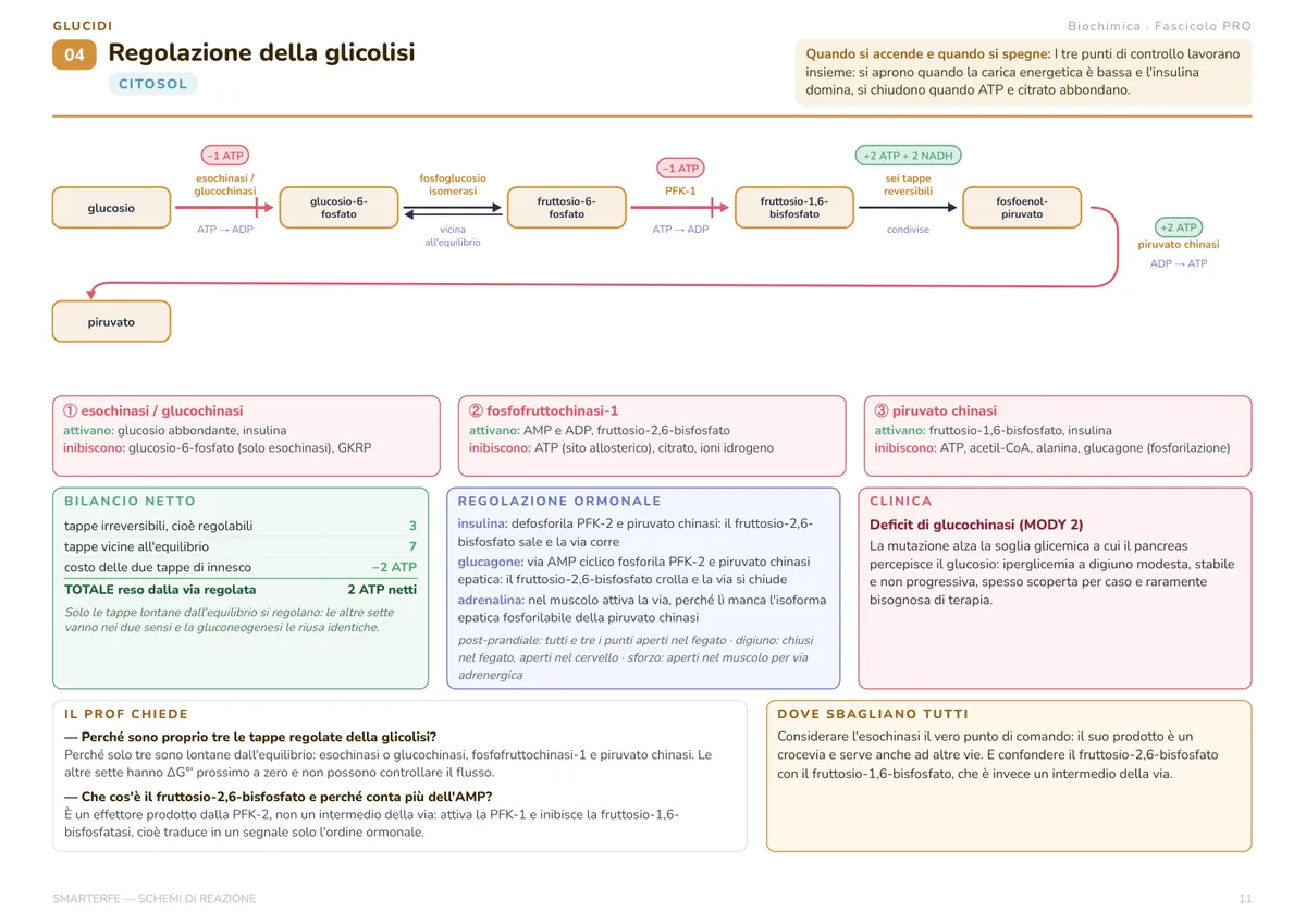 Scheda del Manuale delle Tecniche