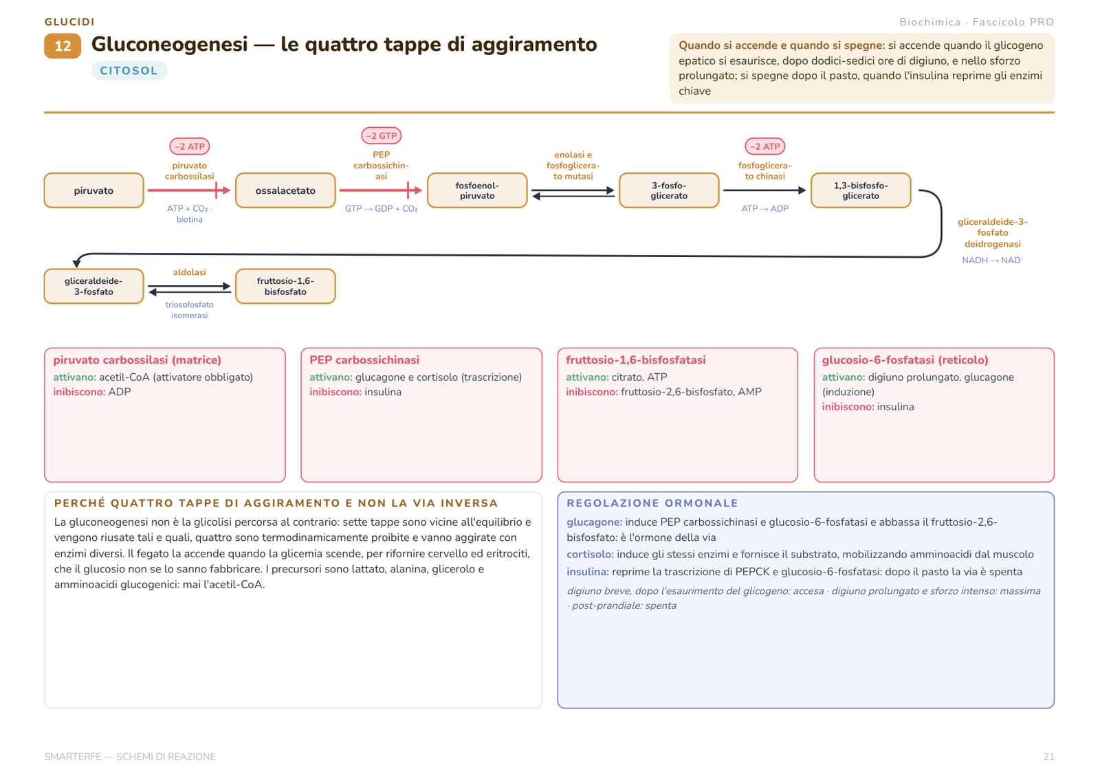 Schema di reazione