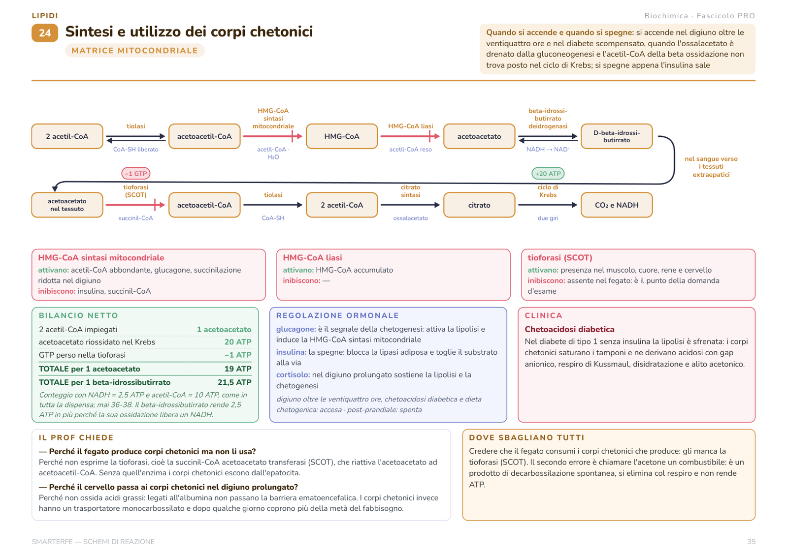 Schema di reazione