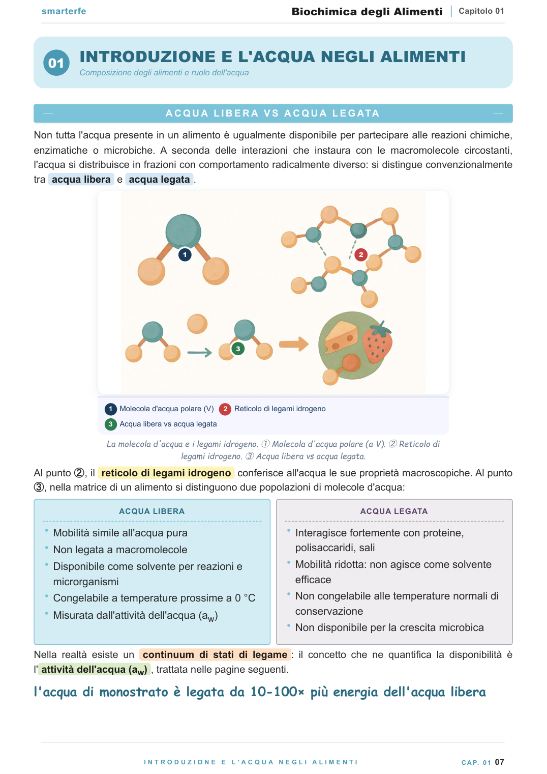 L'acqua negli alimenti: acqua libera, legata e attivit&agrave; dell'acqua (aw)