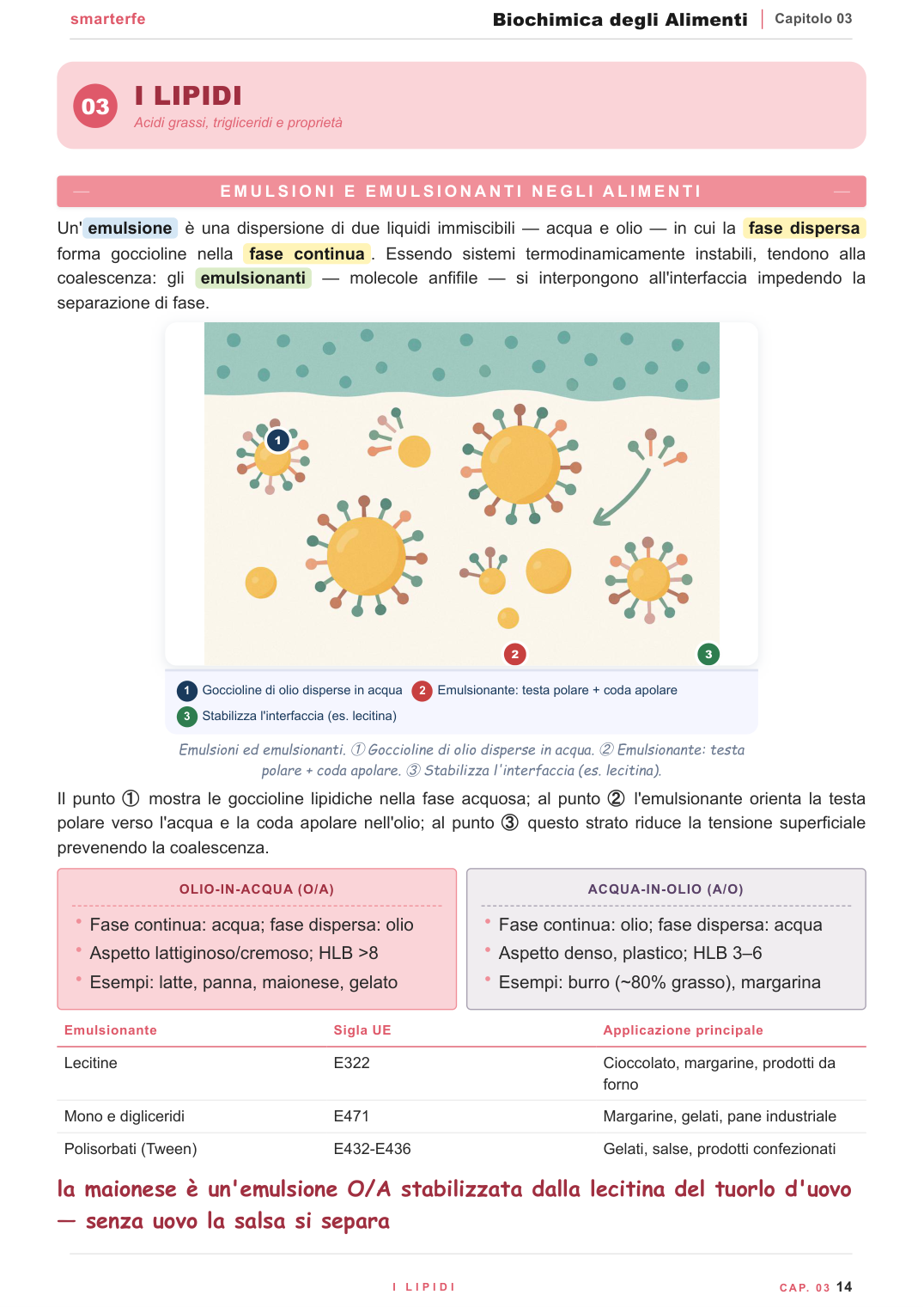 I glucidi: struttura di mono-, oligo- e polisaccaridi negli alimenti