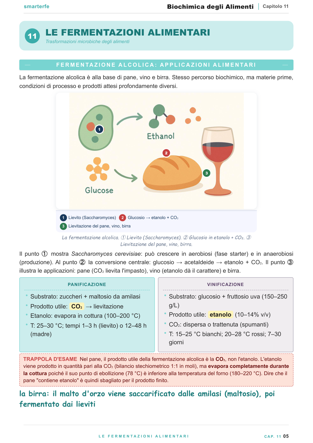 Additivi, composti bioattivi e nutraceutici negli alimenti